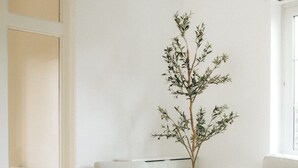 منطقة الاستقبال