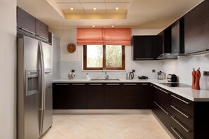 Fridge, microwave, oven, dishwasher - Villa Vergio in Kolympia (Rhodes Town, Rhodes, Greece)