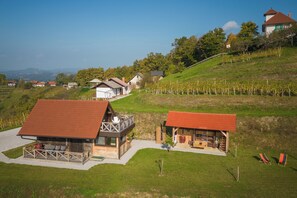 Exterior - Vineyard Cottage Grajska Kasca (Mirna)