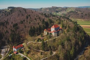 Aerial view - Vineyard Cottage Grajska Kasca (Mirna)