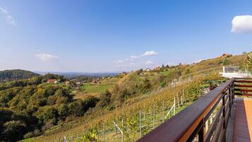 Family House, Multiple Bedrooms, Mountainside (Vineyard Cottage Urban) | Balcony