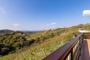 Familie huis, 2 slaapkamers, uitzicht op gebergte (Vineyard Cottage Urban) | Balkon