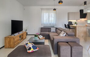 Fernseher, Kamin