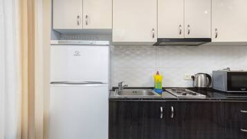 Economy Apartment | Private kitchen | Fridge, microwave, stovetop, electric kettle