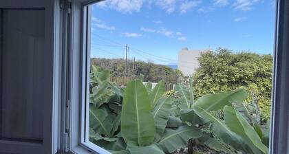 Eden Gomera Suites - Estudio con vistas a las fincas y al mar