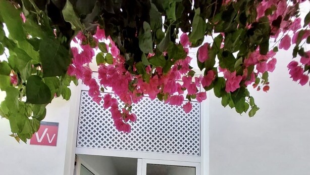 Una entrada de edificio con un porche cubierto, una escalera que lleva a una puerta y un accesorio de luz instalado en la pared.