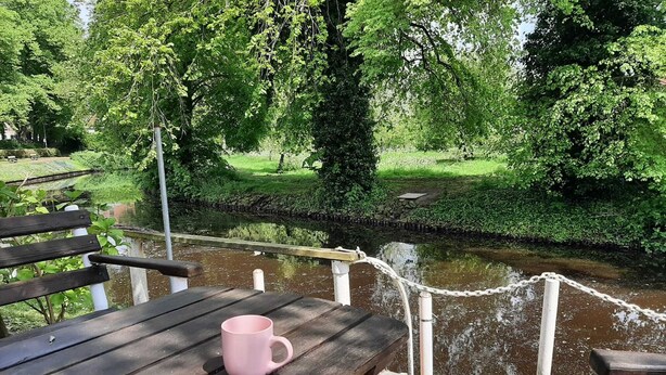 Una mesa de madera con una taza rosa y un plato de comida, con vista a un río, un muro de piedra y follaje.