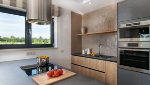 A modern kitchen with a built-in stove, a large window, and a view of greenery outside. - Awesome home in Svetvincenat (Svetvincenat)