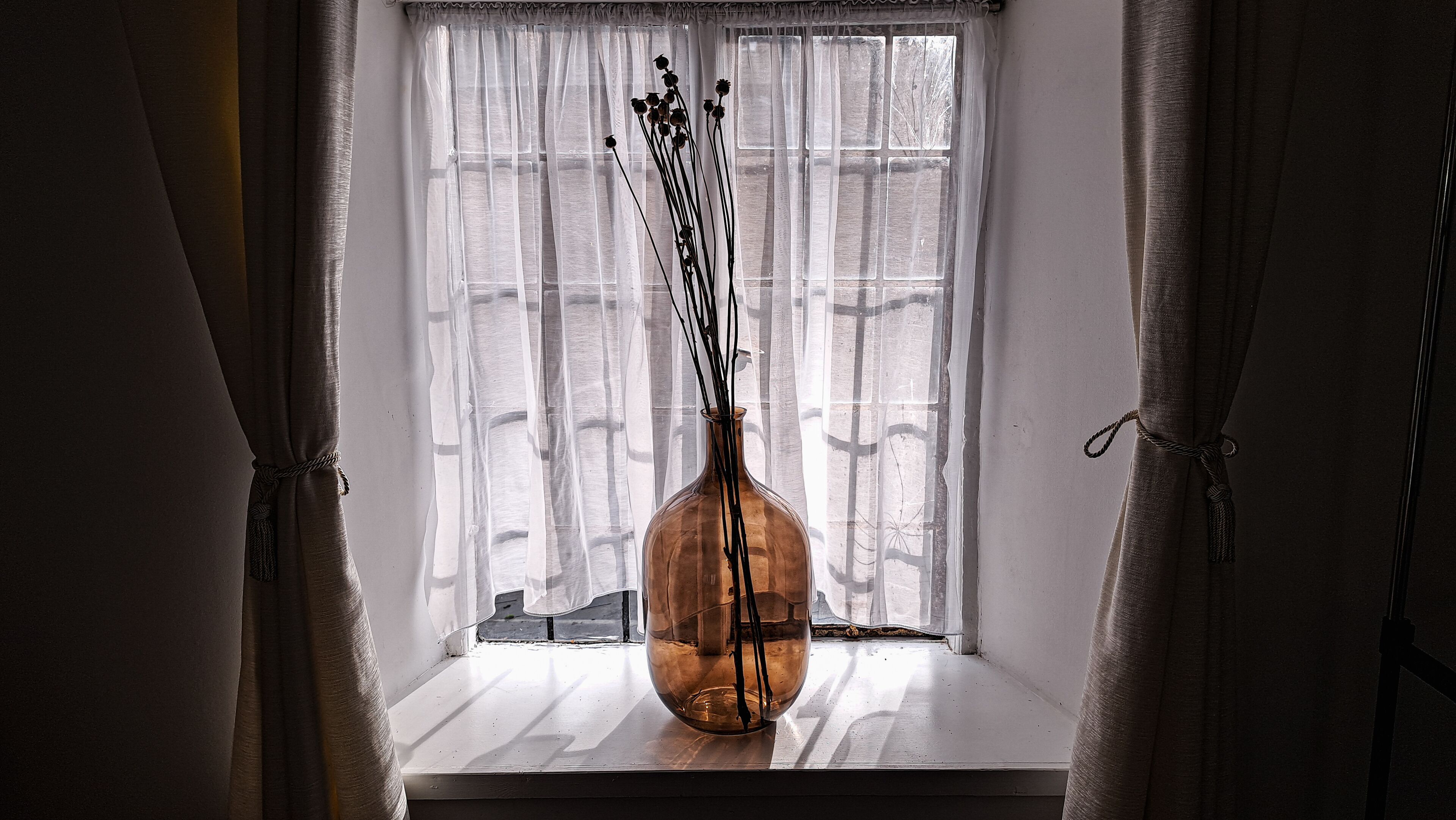 A clear view of a window with sheer curtains, a vase with branches, and a glimpse of the outside through the window.