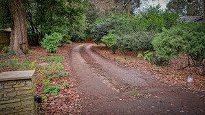 A gravel path leading through a wooded area with a stone wall on one side. - The Old Vicarage (Northampton)