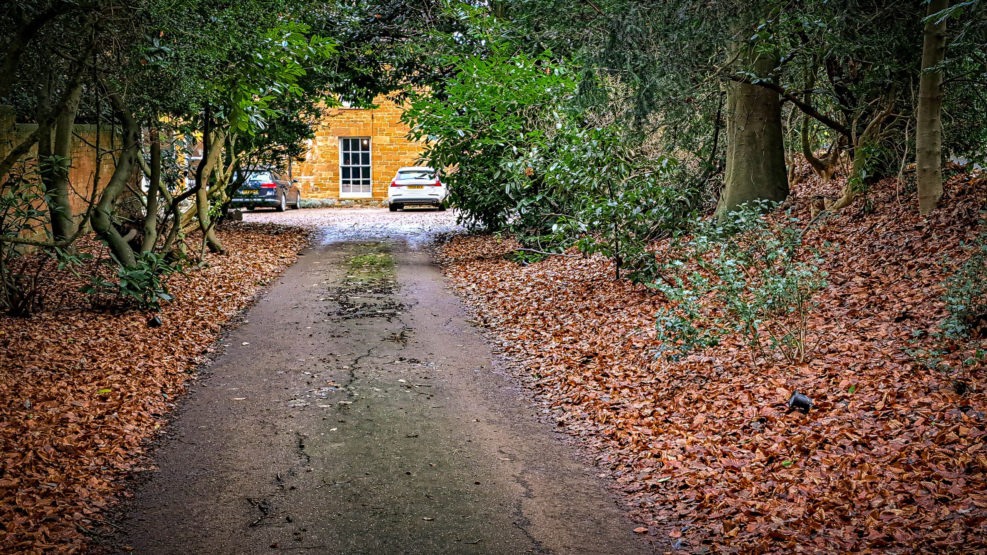 A pathway leading to a stone building surrounded by trees and fallen leaves.