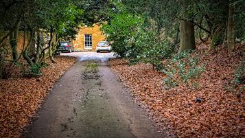 A pathway leading to a stone building surrounded by trees and fallen leaves.