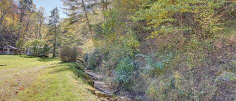 A natural landscape with a stream, trees, and a house in the background.