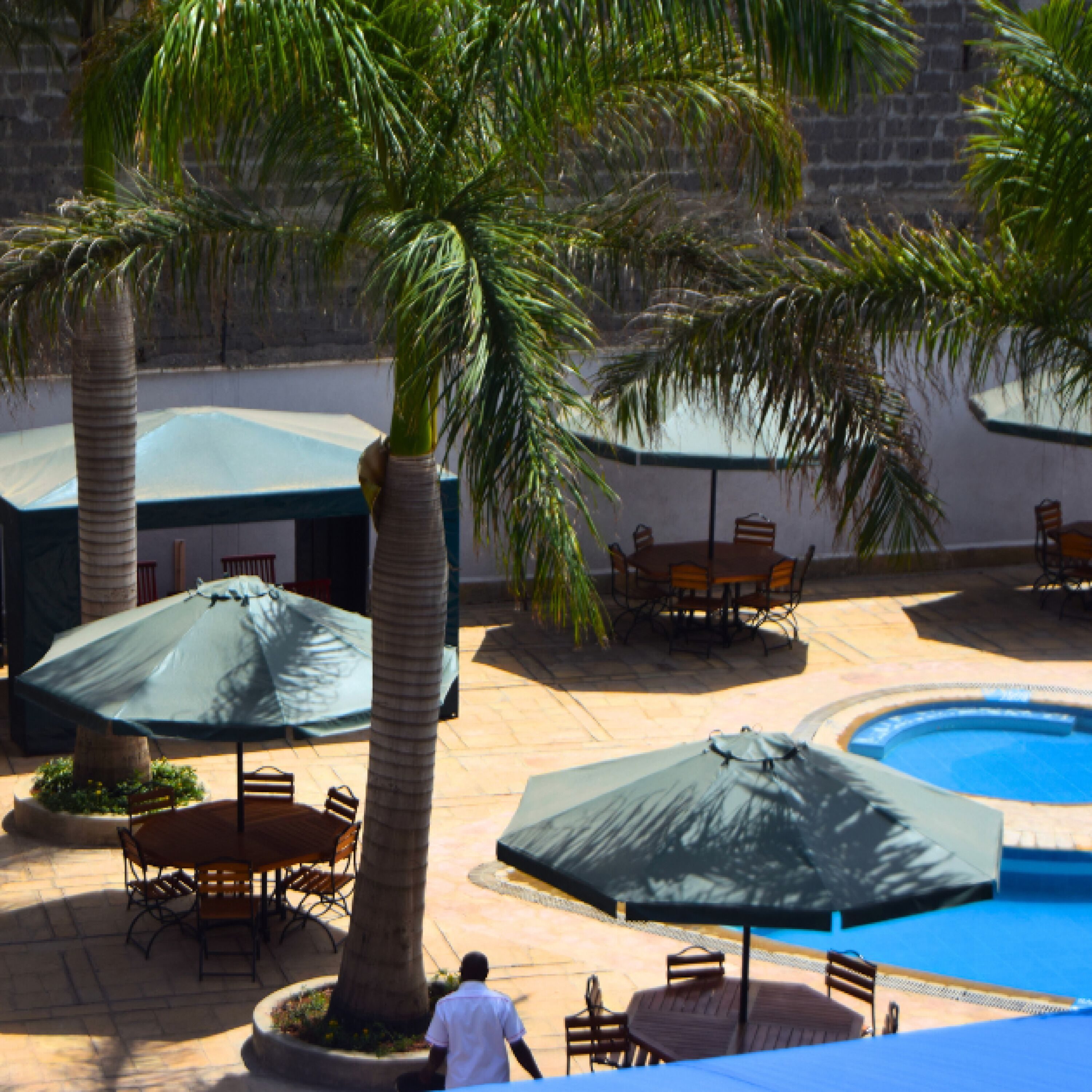Un espace aménagé au bord de la piscine, avec des palmiers, des parasols et des sièges d’extérieur.