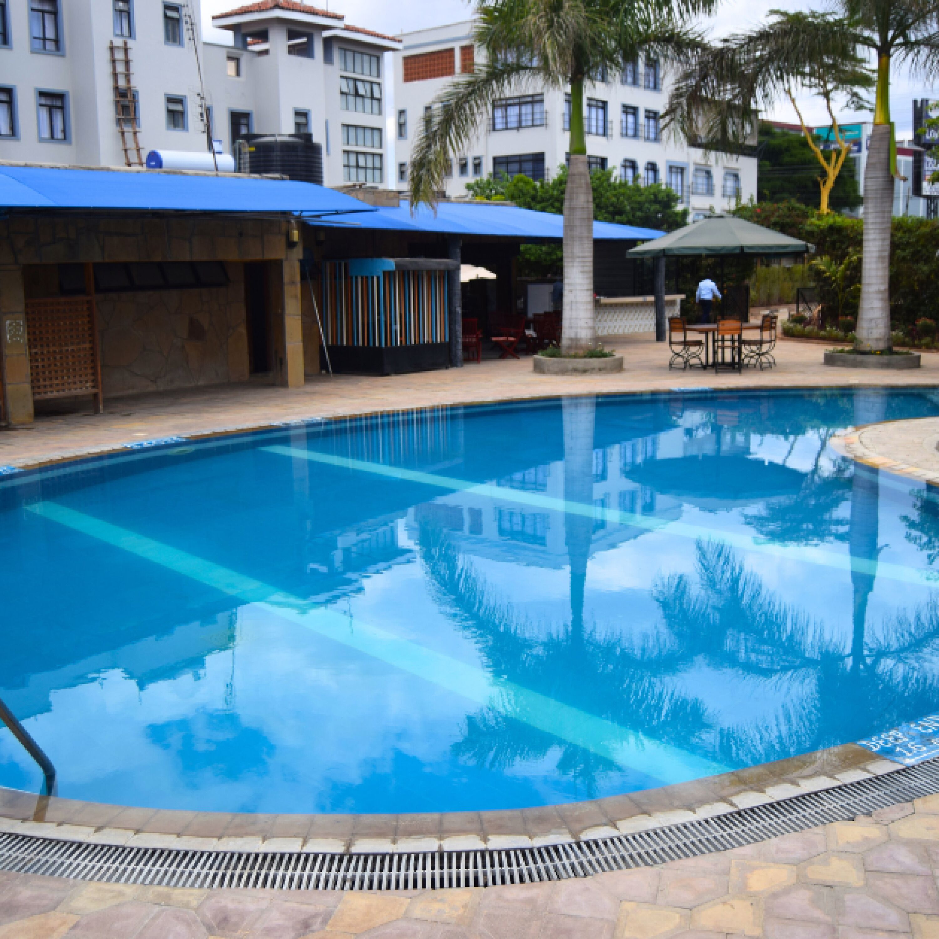 A swimming pool with a stone border, a covered seating area, and a palm tree.
