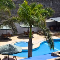 A swimming pool with a palm tree, outdoor seating, and a stone wall in the background.