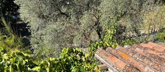 18th century village house 15 minutes from the beaches.
I