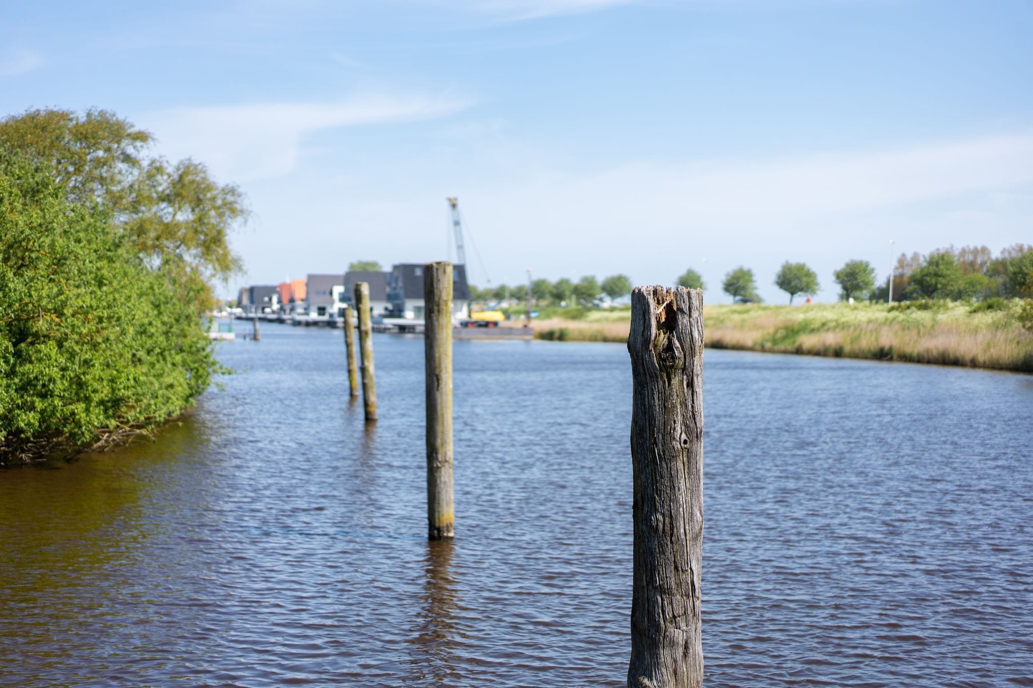 A river with wooden posts and a dock in the background.