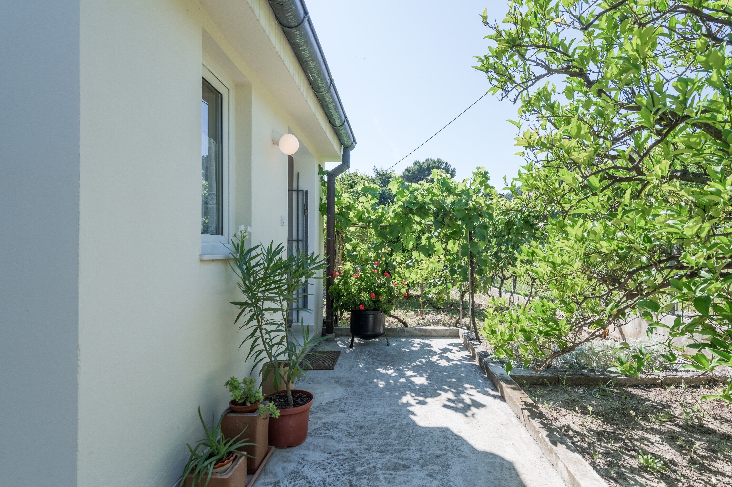 A narrow pathway leading to a building with a white exterior and potted plants along the sides.