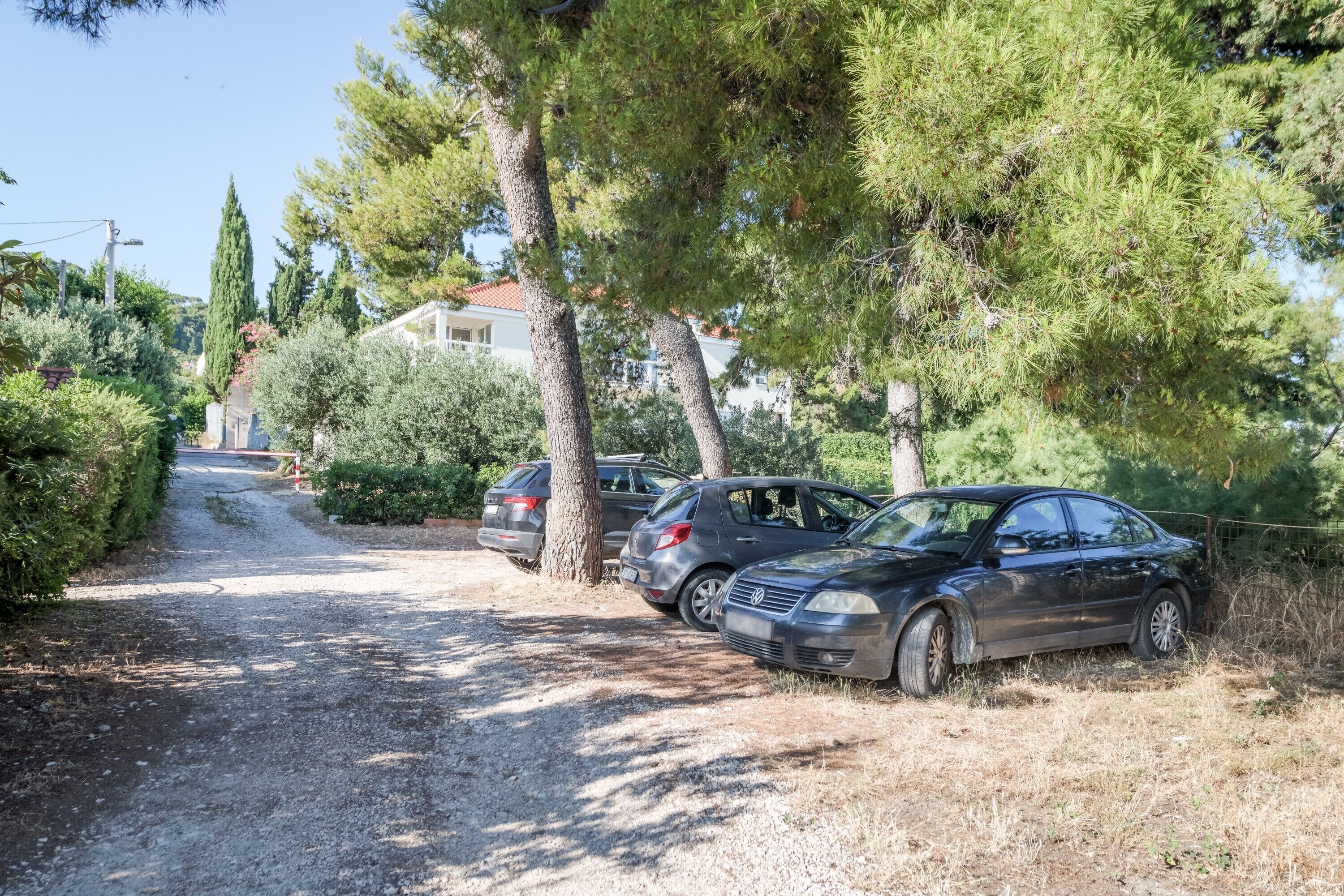 A gravel driveway leading to parked cars, surrounded by trees and a house in the background.