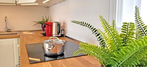 Kühlschrank, Mikrowelle, Ofen, Herdplatte