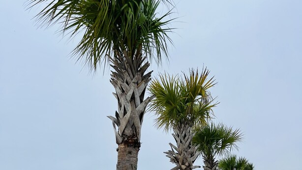 بالقرب من الشاطئ