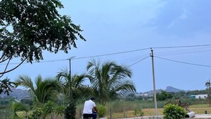 A person riding a bicycle on a dirt path with palm trees and a fence in the background. - Bliss Farm Stay-JASMINE (Amangal)