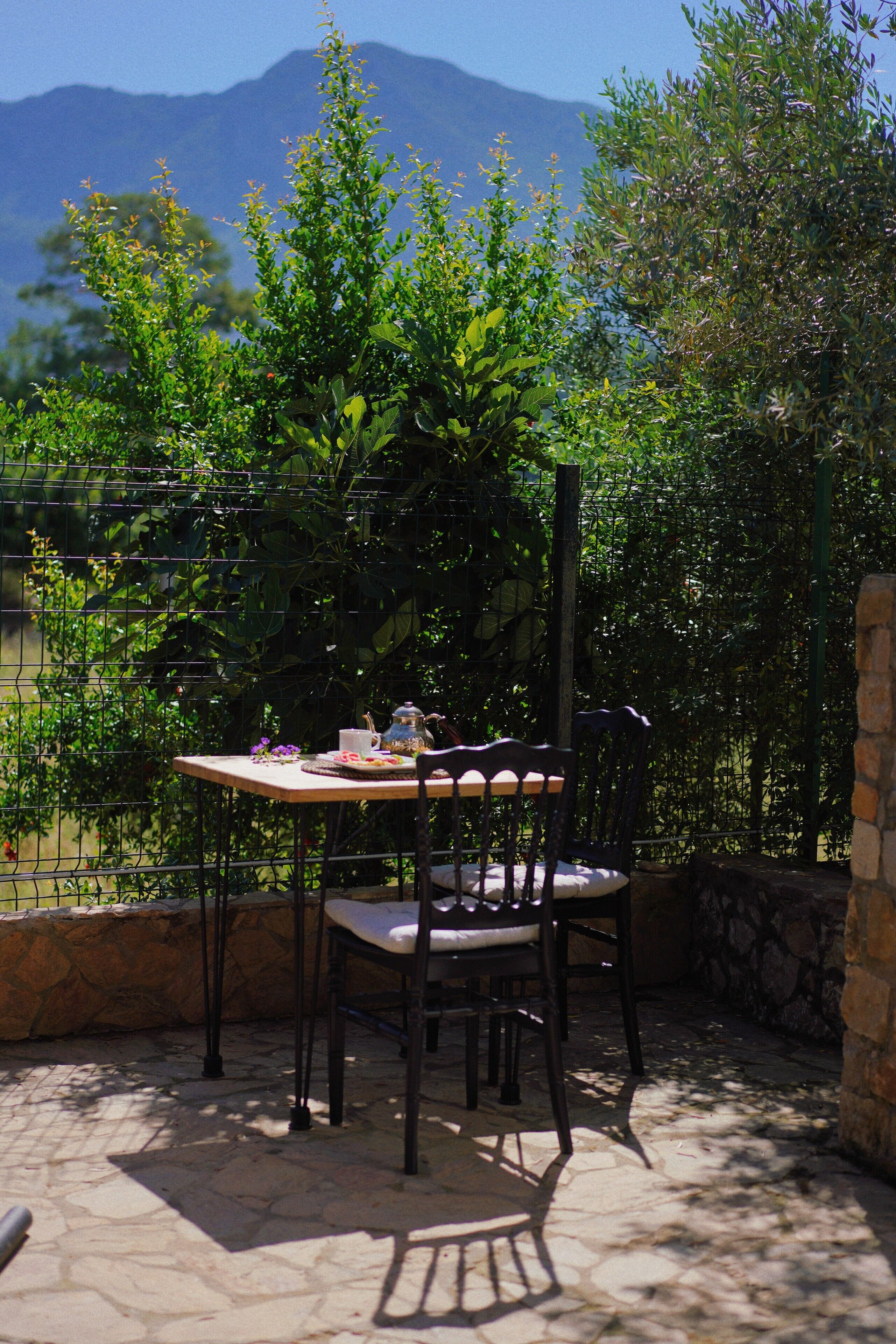 Vue sur le jardin