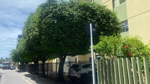 Uma rua com uma fileira de carros estacionados, uma calçada e um edifício com fachada verde.