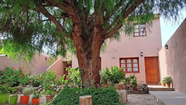 Ein von Bäumen gesäumter Innenhof mit einem rosa Gebäude, einer Holztür und Kübelpflanzen.