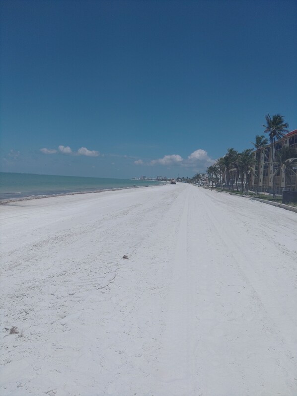 Camastros y toallas de playa