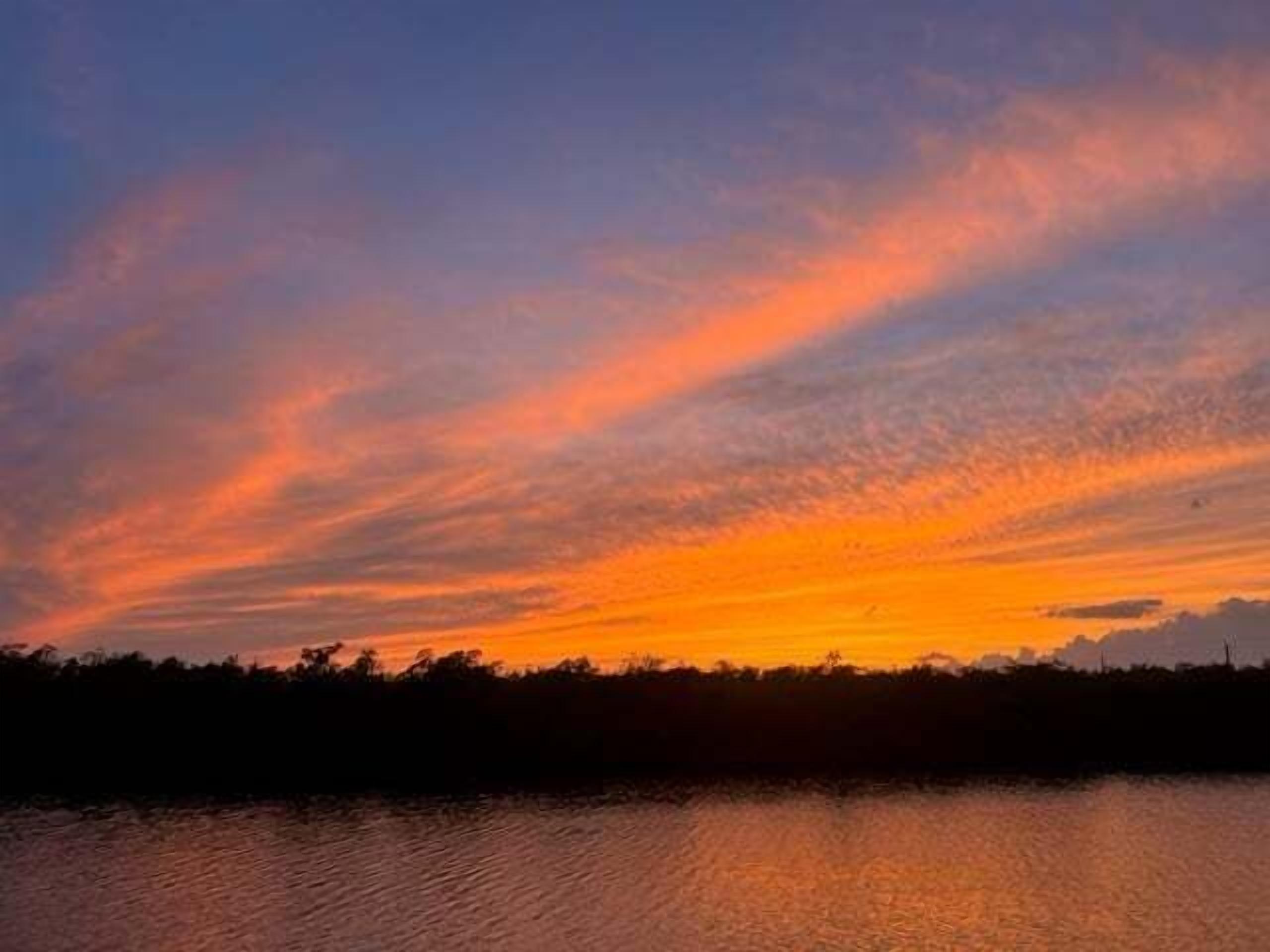 A sunset over a body of water with a silhouette of trees in the foreground.