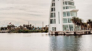 Un bâtiment moderne doté d’une structure de toit incurvée originale, situé au bord d’un plan d’eau.