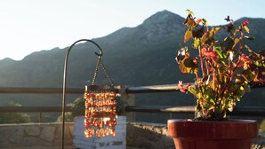 Una planta en maceta con flores rojas y un colgador con luces naranjas.