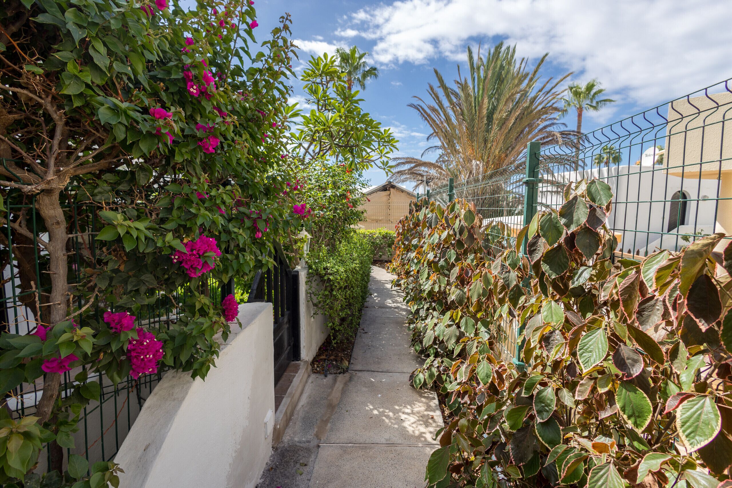 Terrein van de accommodatie