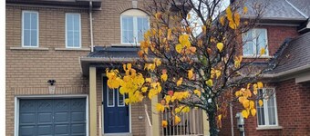 Charming 1 BDR Studio in Ajax! Sleeps 2