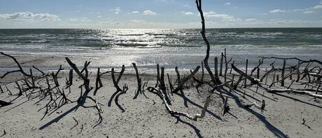靠近海滩、沙滩椅、沙滩毛巾