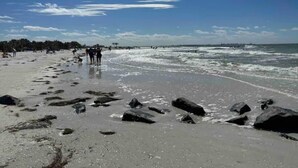 A beach with people walking along the shore, large rocks scattered across the sand, and a clear blue sky. - Pirate’s Cove (Tarpon Springs)