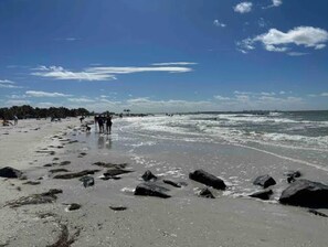 ビーチの近く、サンラウンジャー、ビーチタオル