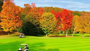 A golf course with a golf cart and trees in autumn colors. - Stratton; 6 min. King beds. Pool Table. Wood Stove. Dog friendly (Jamaica)