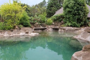 A tranquil outdoor pool area with clear water, surrounded by rocks and lush greenery.