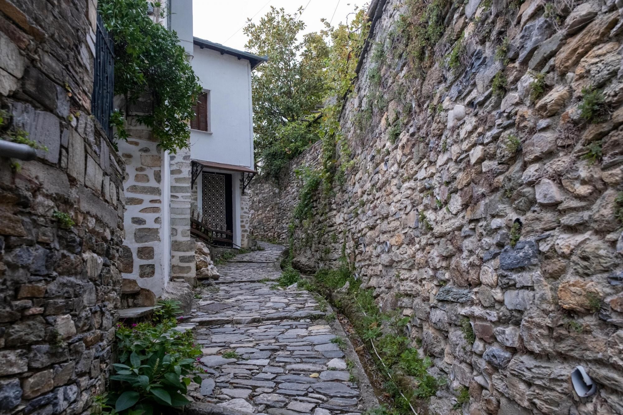 A narrow stone pathway leading to a white building with a wooden door and a window with shutters.