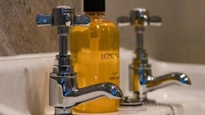 Ein Waschbecken mit zwei Wasserhähnen und einer Flasche zitronenduftseife.
