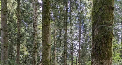 Ferienwohnung Escholzmatt für 1 - 4 Personen mit 2 Schlafzimmern - Bauernhaus
