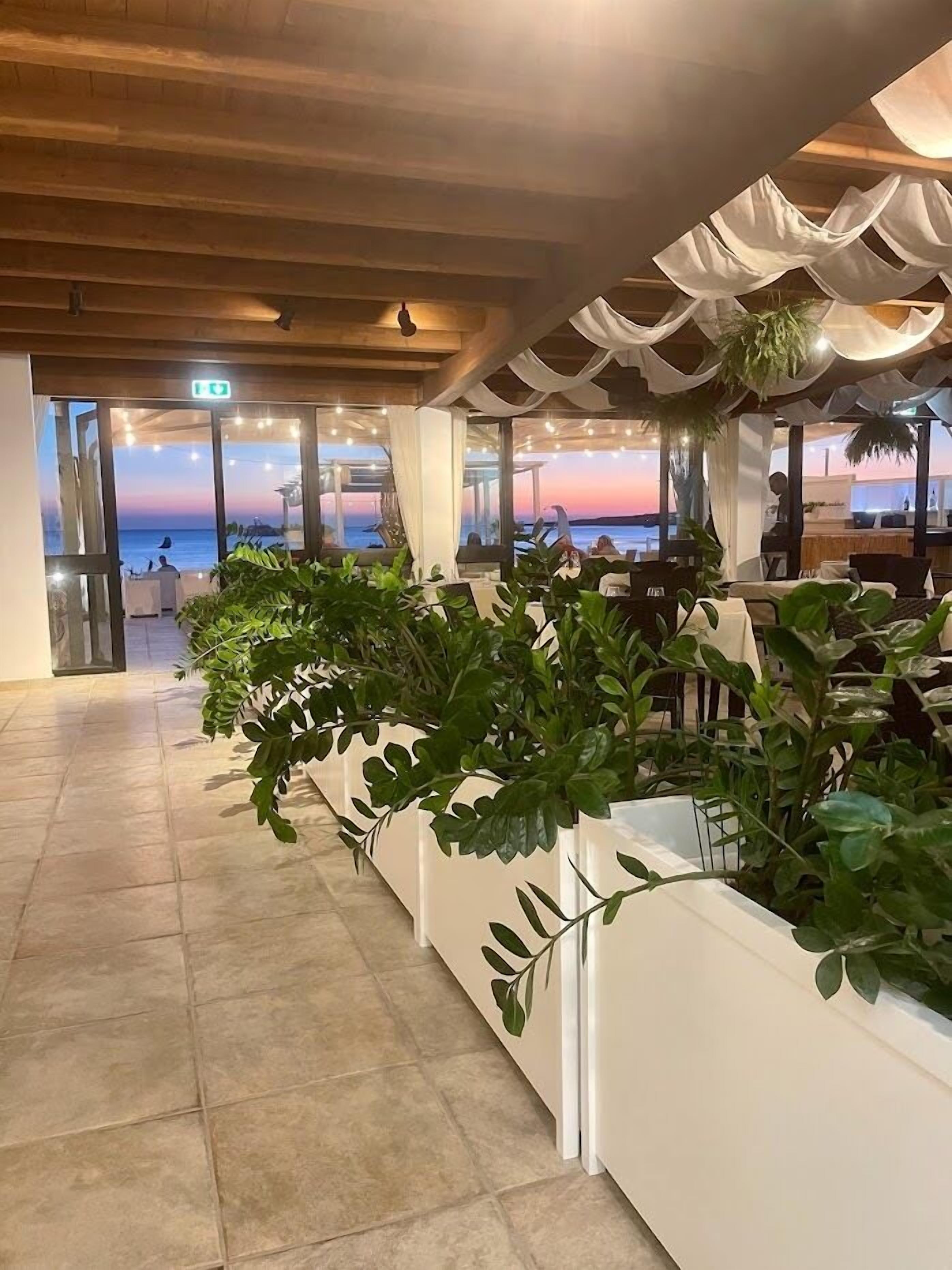 A restaurant with a view of the sunset over the water, indoor plants, and a modern interior design.