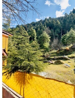 Property grounds - Deodar Abode (Dalhousie)