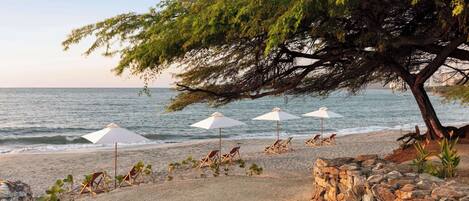 On the beach, beach bar