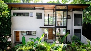A modern two-story house with large windows, a wooden deck, and a garden with tropical plants.