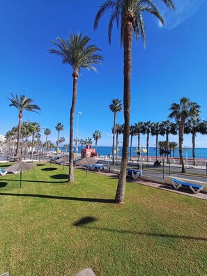A coastal promenade with palm trees, sun loungers, and a clear view of the sea.