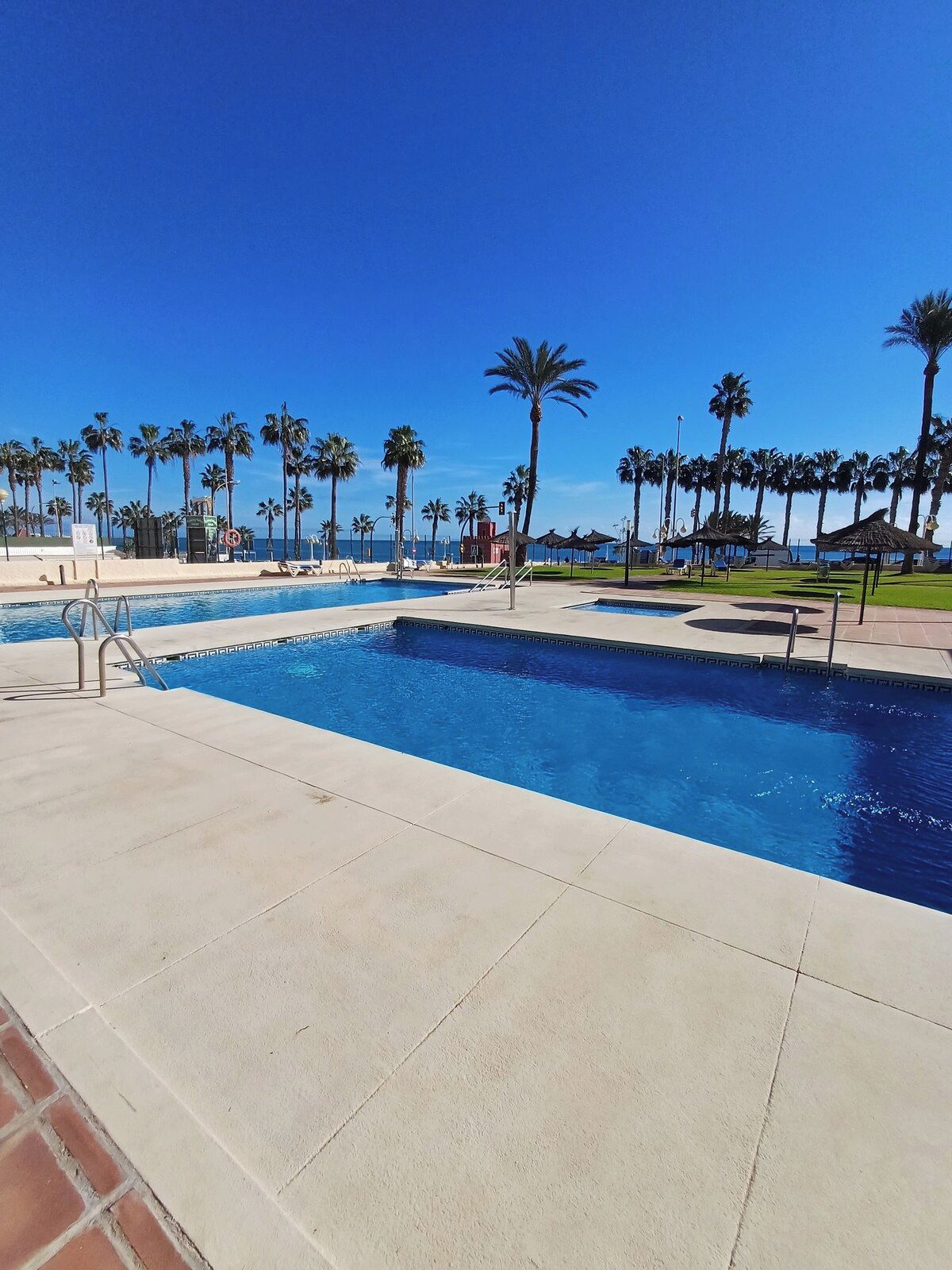 A swimming pool with clear blue water, surrounded by palm trees and a clear sky.